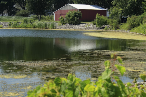 Keep Your Barn Running Smoothly and Cost-Effectively