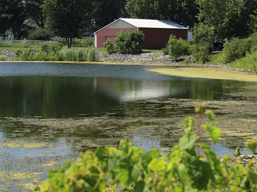 Keep Your Barn Running Smoothly and Cost-Effectively