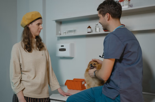woman talking with a vet about her dog.