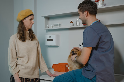 woman talking with a vet about her dog.